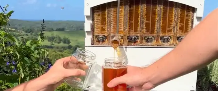 Honey On Tap, Stress Free